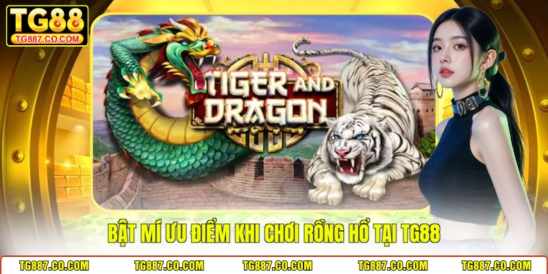 Bật mí ưu điểm khi chơi Rồng Hổ tại TG88