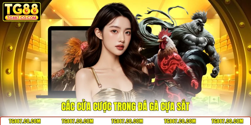 Các cửa cược trong đá gà cựa sắt