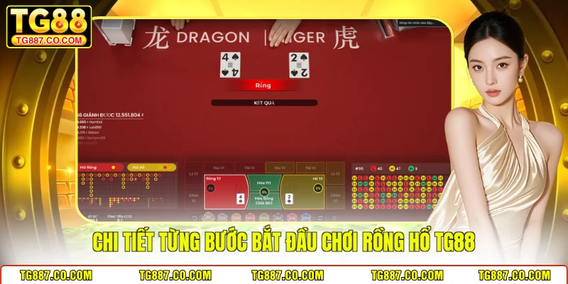 Chi tiết từng bước bắt đầu chơi Rồng Hổ TG88