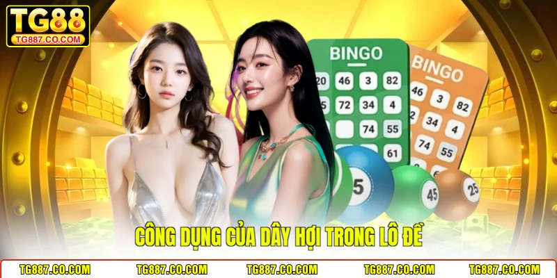 Công dụng của dây hợi trong lô đề