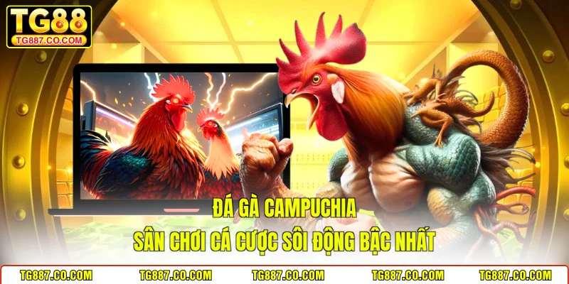 Đá Gà Campuchia - Sân Chơi Cá Cược Sôi Động Bậc Nhất
