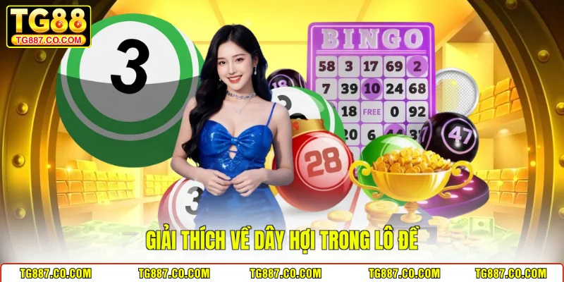 Giải thích về dây hợi trong lô đề