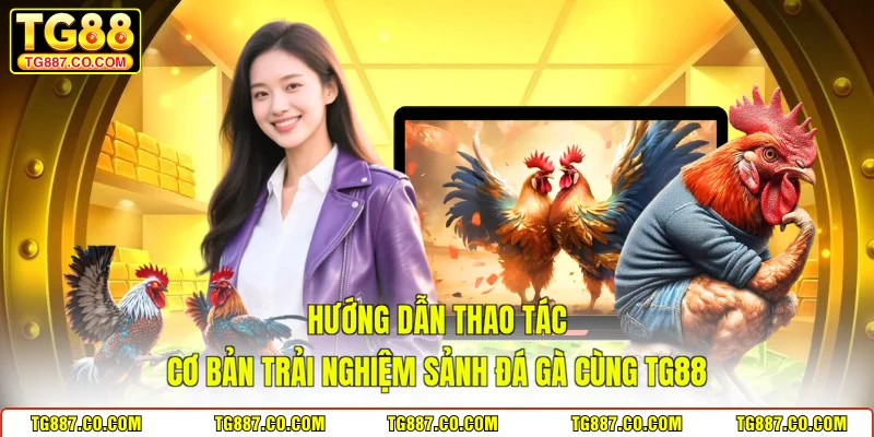 Hướng dẫn thao tác cơ bản trải nghiệm sảnh đá gà cùng TG88