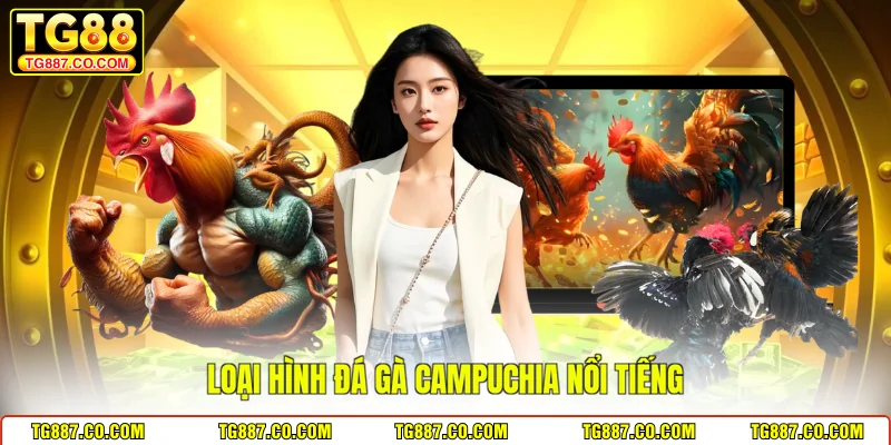 Loại hình đá gà Campuchia nổi tiếng