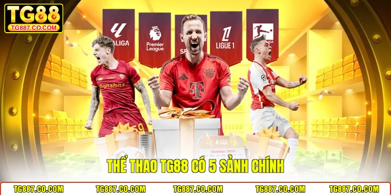 Thể thao TG88 có 5 sảnh chính