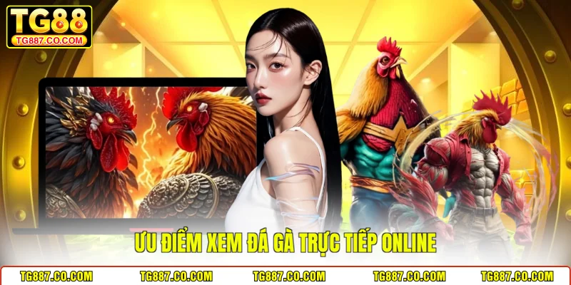 Ưu điểm xem đá gà trực tiếp online